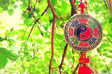 Mandala HD Desktop Wallpapers : Widescreen