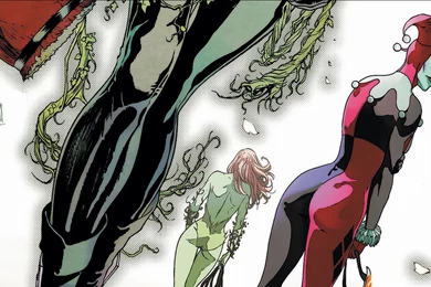 47 Gotham City Sirens HD Wallpapers