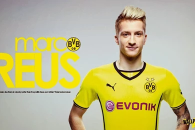 Marco Reus Wallpapers   HD WALLPAPER