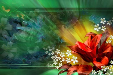 Red Flower Abstract, Floral, Single, Green, 1920x1200 HD Wallpapers ...