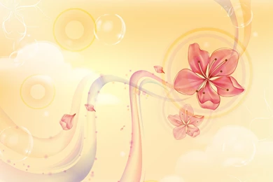 Abstract Flowers HD Wallpapers Pictures Images Desktop Gallery ...