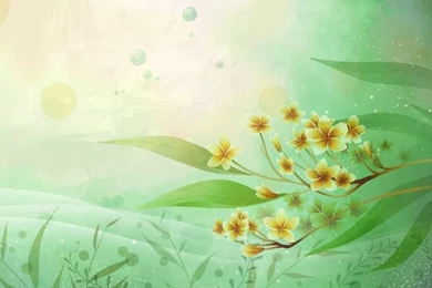 Abstract Flowers & Leaves HD Desktop Wallpapers