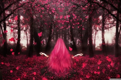 Love Magic HD Desktop Wallpapers : High Definition : Fullscreen ...