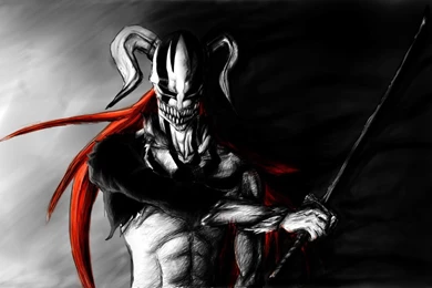 Ichigo Vasto Lorde Wallpapers   Wallpapers Zone