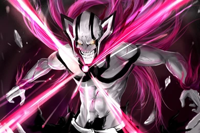 Bleach Vasto Lorde 86 HD Wallpapers