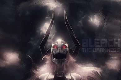 Anime Bleach Espada Hollow Ichigo Kurosaki Ichigo Nelliel Tu ...