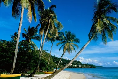 Free HQ Grand Anse Beach Grenada Wallpapers   Free HQ Wallpapers