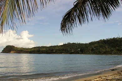 Free Wallpapers – Grenada Beach   Tropical Connections