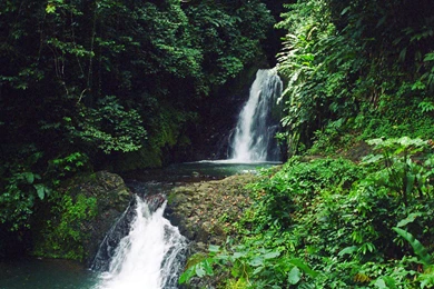 Waterfall, Grenada : Travel Wallpapers And Stock Photo