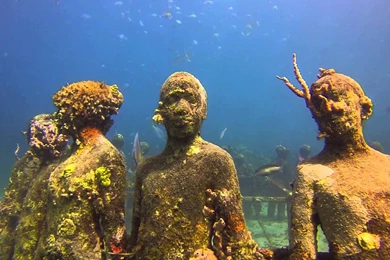 Vicissitudes At Grenada Underwater Sculpture Park   YouTube