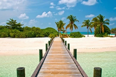 Small Bridge That Connecting A Small Island