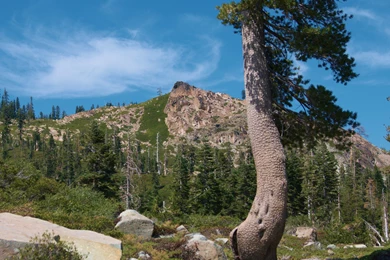 Nihilon   Android Wallpaper Images