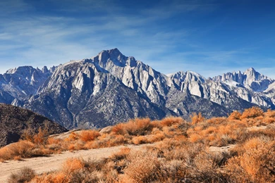 Download Rocky Mountain Peaks Autumn Wallpapers Wallpapers Printed