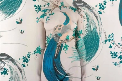 Wallpapers Collection By Emma Hack At Frances Keevil Gallery Sydney