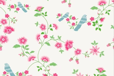 Bloompapers   Bird Branches Wallpapers White
