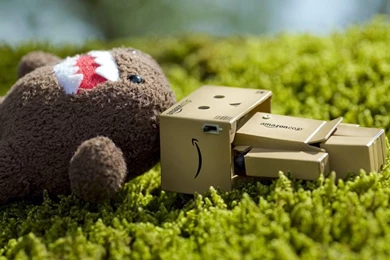 Animal Print Danbo With Domo Wallpapers Ipad