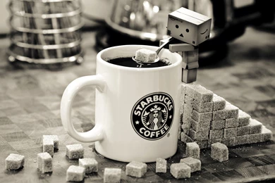 Starbuck Coffee And Domo