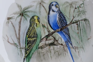 Vintage Hand Painted Parakeet Cake Plate From Germany From ...