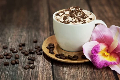 Photography Page 317