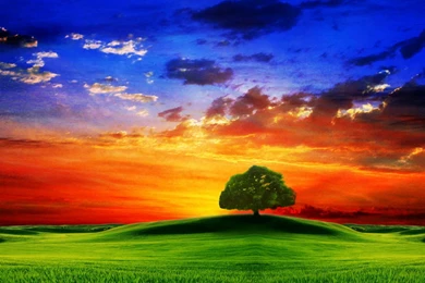 Free 3D HD Wallpapers HD Nature Free   Bestscreenwallpaper.com ...