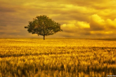 Top Large Hd Wallpapers Landscape Wallpapers