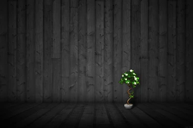 Wood Wallpapers   Wallpapers Cave