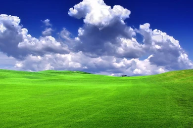 Download Another Bliss Wallpapers For HTC Evo