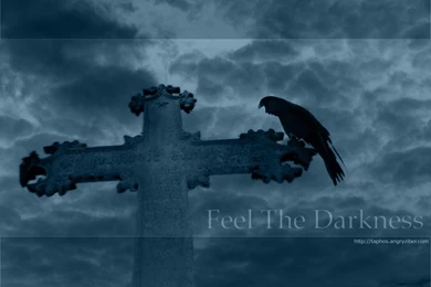 29 Raven HD Wallpapers