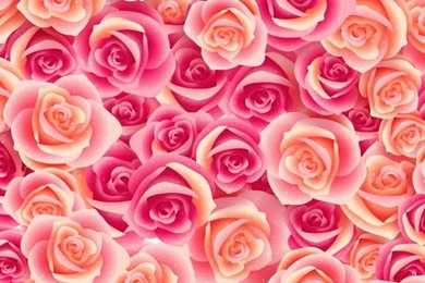 Popular Pink Rose Background Buy Cheap Pink Rose Backgrounds Lots ...