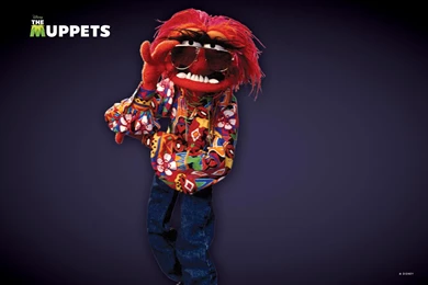 The Muppets Wallpapers