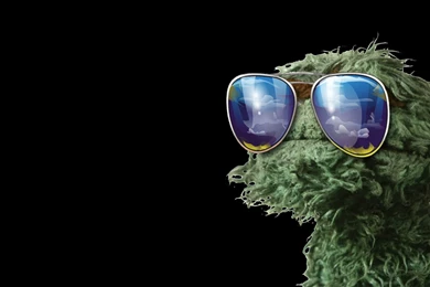 Oscar The Grouch Wallpapers » WallDevil   Best Free HD Desktop And ...