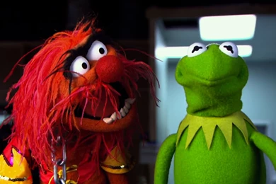 New 1000 Screensaver: Free Muppet Screensaver
