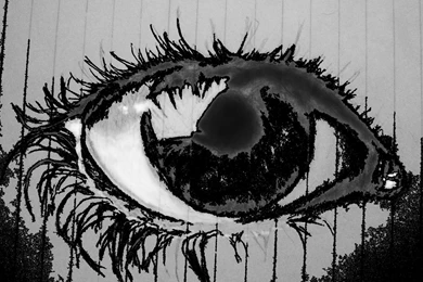 Graffiti Wall Wallpapers Photo   Ndemok.com