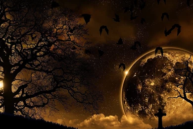 Hd Wallpapers Nature Night – Wallpapers