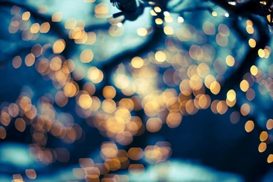 Flavor paper wallpapers