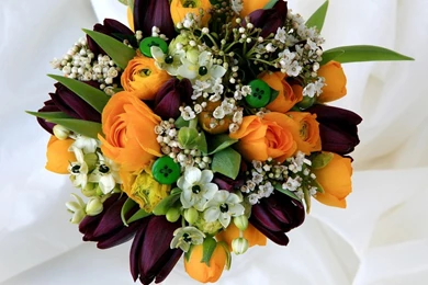 Download Wallpapers 1920x1080 Tulips, Roses, Ranunkulyus, Tea Tree ...