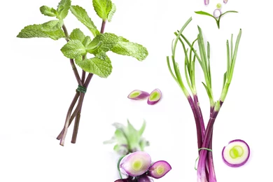 Herb Flavor 31619   World Wallpapers   Landscape Scenery