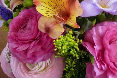 Download Composition, Ranunkulyus Wallpapers, Freesia, Flavor ...