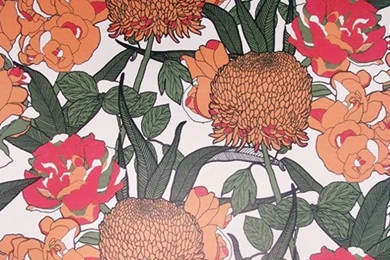 I Spy – Abigail Borg Wallpaper……….