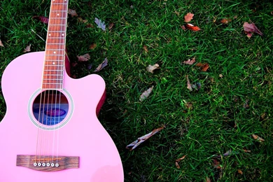 DeviantArt: More Like Pink Guitar By Marelparel