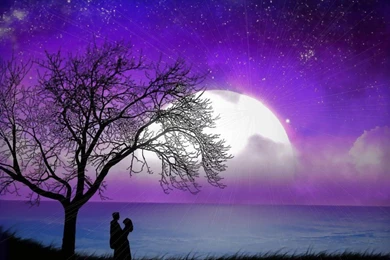 Tumblr Backgrounds Wallpapers » WallDevil   Best Free HD Desktop ...