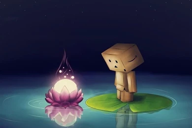 Water Flower Danbo Lotus Leaf Mac Wallpapers Download