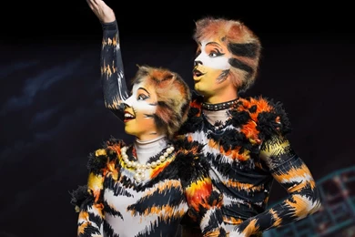 iPhone Wallpapers   Cats The Musical