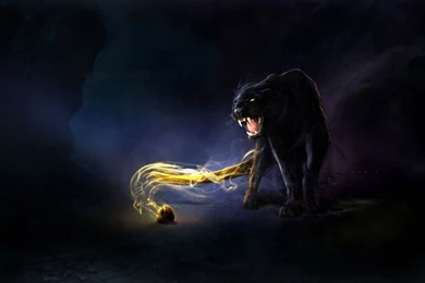 Panther Backgrounds   Wallpapers Zone