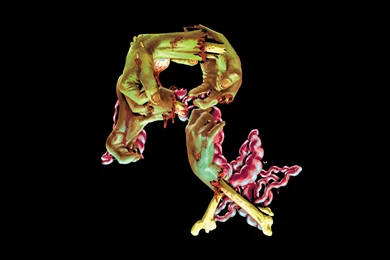 881297 Rockstar Games Logo Wallpapers