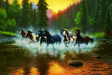 Horses: Wild Horses Sunset River Water Firs Herd Nature 5843 Wide ...