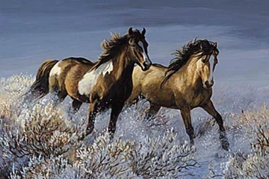 Trololo Blogg: Wild Wallpapers Free