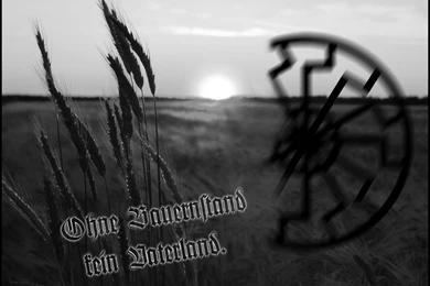 Wallpapers   Images   Iron March Forums