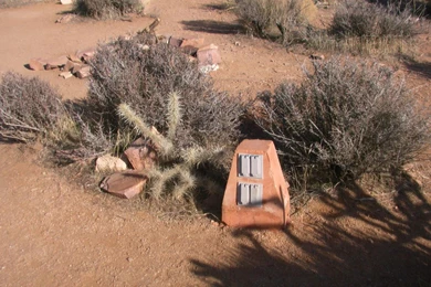 That's Odd! >> HD Wallpaper, Get It Now!