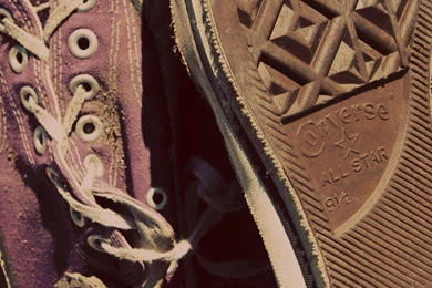 Pretty Odd   Pretty Odd Photography Wallpapers (9283046)   Fanpop